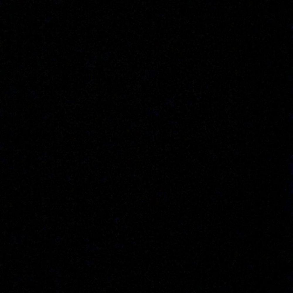 Meet your Posher, Lizzy